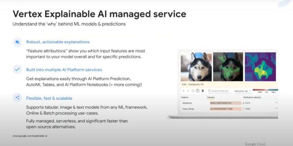 Vertex Explainable AI managed service