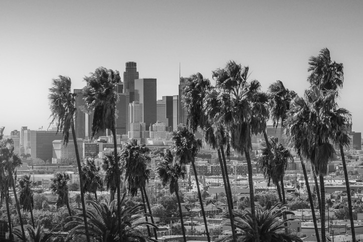 Los Angeles Grayscale